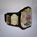 Classic WWE World Tag Team Championship Belt with gold detailing.