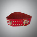 NFL 49ers championship belt with WWE legacy title features.