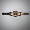 Las Vegas Raiders Championship Belt featuring NFL Limited WWE Edition design.