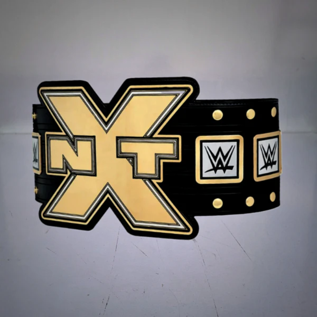 NXT Belt 2012 - Iconic Wrestling Championship Title Design