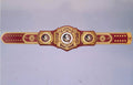 Ultimate fan collectible – Florida State Seminoles WWE Legacy Title belt.