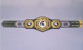 Ultimate fan collectible – Michigan State Spartans WWE Legacy Title belt.