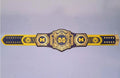 Ultimate fan collectible – Michigan Wolverines WWE Legacy Edition belt.