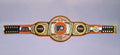 Detailed view of the Philadelphia Flyers WWE Championship Belt, featuring embossed logos and a sleek finish.