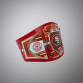 Exclusive San Francisco 49ers title belt merging WWE and NFL heritage.