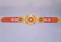 Ultimate fan collectible – Texas Longhorns WWE Legacy Edition belt.